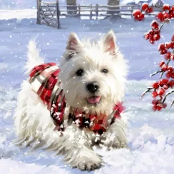 Käthe Wohlfahrt Adventsdeko & Kalender-Adventskalender "Hunde-Weihnacht"