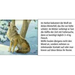 Käthe Wohlfahrt Adventsdeko & Kalender-Adventskalender "Tiere Im Winterwald"