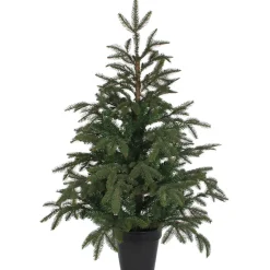 Käthe Wohlfahrt Künstliche Weihnachtsbäume-Baum Frasier Fir Grun, 100 Cm