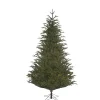 Käthe Wohlfahrt Künstliche Weihnachtsbäume-Baum Frasier Fir Grun, 140 Cm