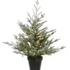 Käthe Wohlfahrt Künstliche Weihnachtsbäume-Weihnachtsbaum Im Topf, Mit Led Beleuchtung, 75 Cm